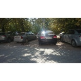 Дикая фауна - 14.jpg